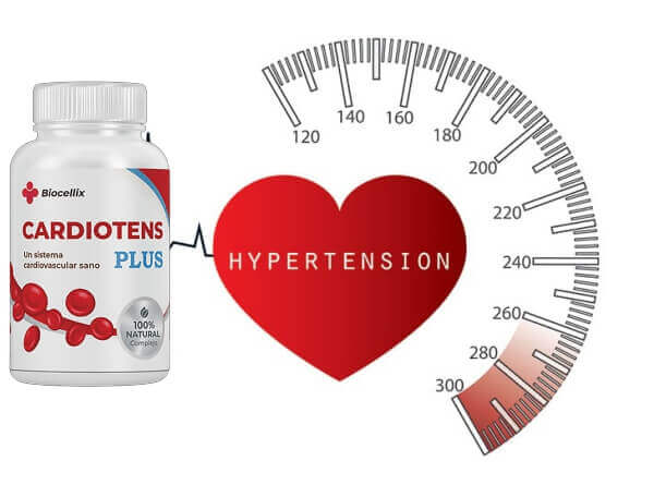 Cardiotens Plus - cena v České republice