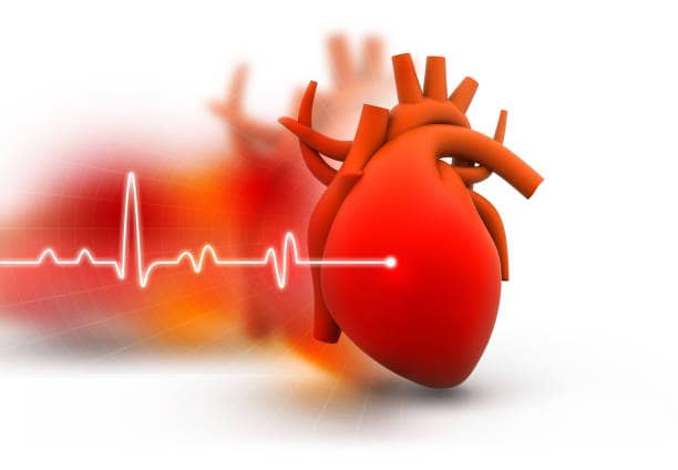 zdraví srdce nízký krevní tlak 