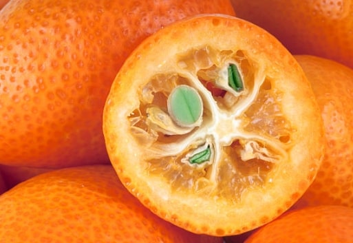 Kumquat - informace a výhody