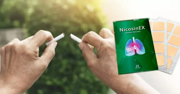 Složení a složky