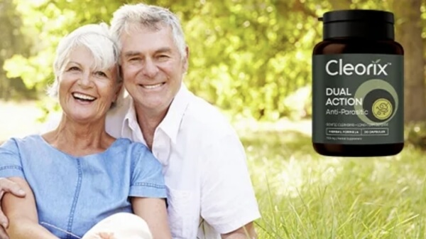 Složení a ingredience